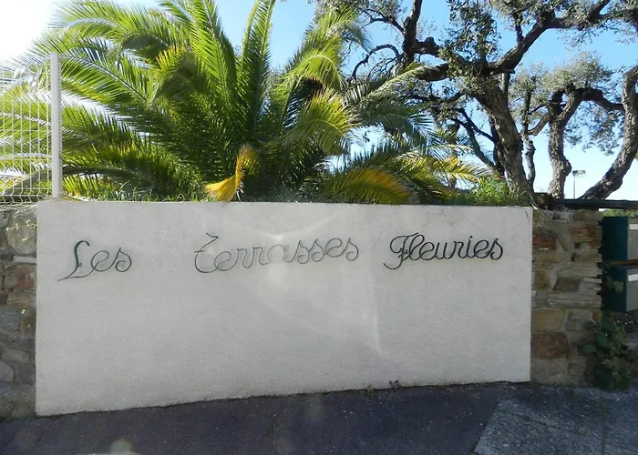 2 Pieces Avec Terrasse Vue Mer, Parking Au Lavandou - Fr-1-251-898 * 勒拉旺杜