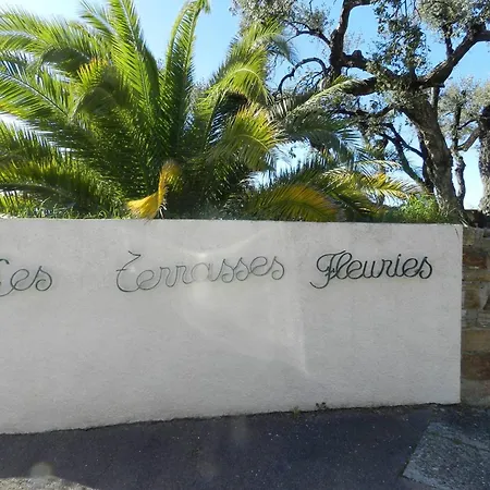 2 Pieces Avec Terrasse Vue Mer, Parking Au Lavandou - Fr-1-251-898 * Le Lavandou